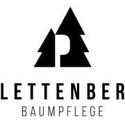 Baumpflege Logo